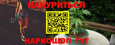 сатива Краснокаменск