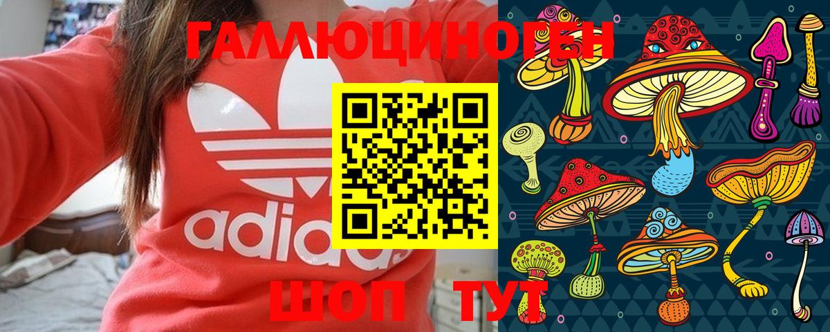 Галлюциногенные грибы мицелий  Псилоцибиновые грибы Psilocybe  Вход с VPN  Клинцы 